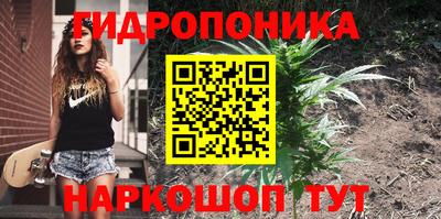 кристаллы Лесосибирск