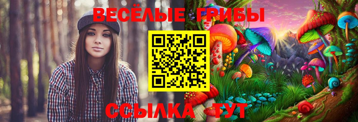 Кинель  купить   Вход с VPN  Псилоцибиновые грибы ЛСД 