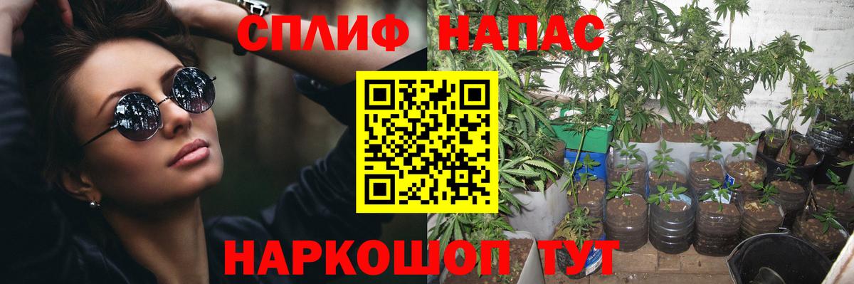 Кинель  Конопля THC 21%  МАРИХУАНА гибрид  МАРИХУАНА SATIVA & INDICA  Вход с VPN  Каннабис SATIVA & INDICA 